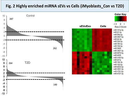 fig.2 Highly enriched miRNA sEVs vs Cells(iMyoblasts_Con vs T2D)