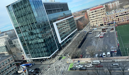 ラボ周辺の風景。奥にある建物がDana-Farber Cancer Institute
